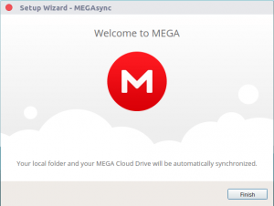 megasync download directory